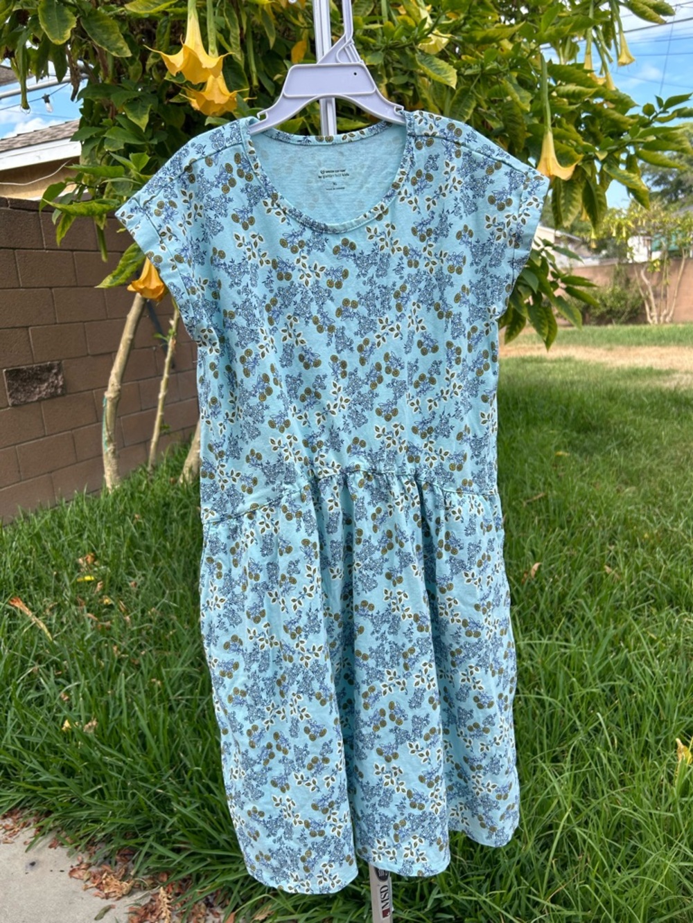 Garnet Hill Light Blue Floral Cotton Dress